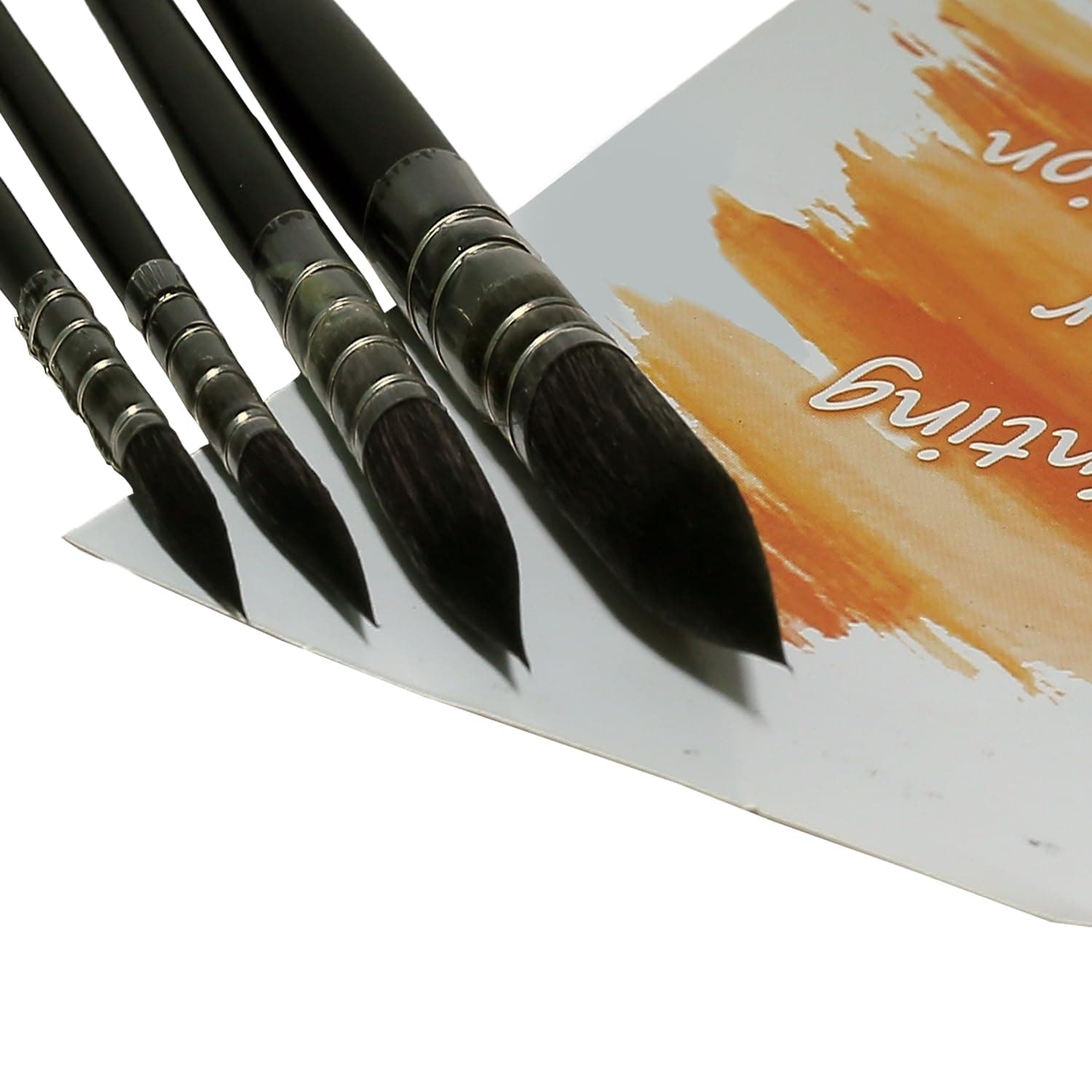 Paint Brush Set